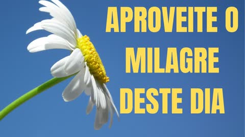 O MILAGRE DA VIDA (NENHUM DIA É IGUAL A OUTRO.