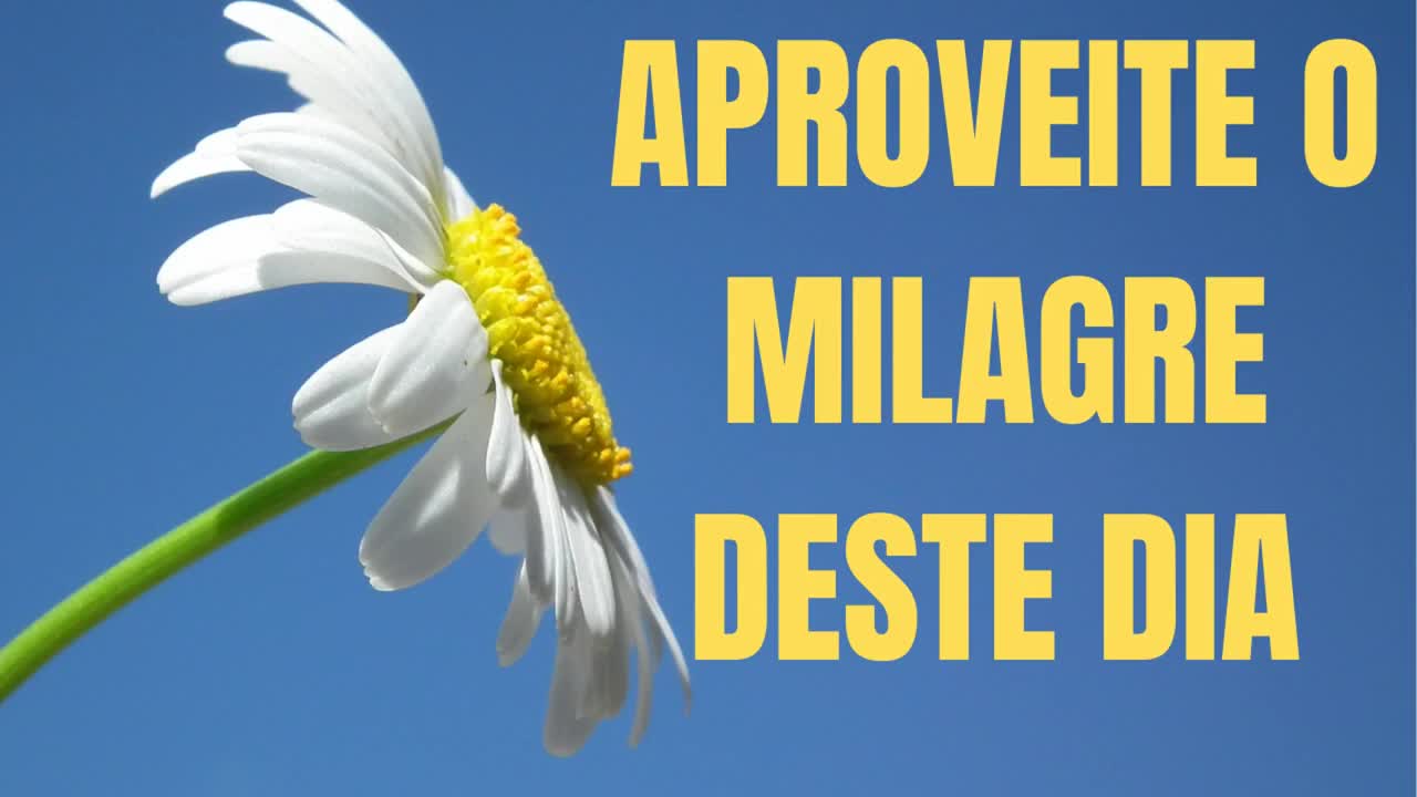 O MILAGRE DA VIDA (NENHUM DIA É IGUAL A OUTRO.