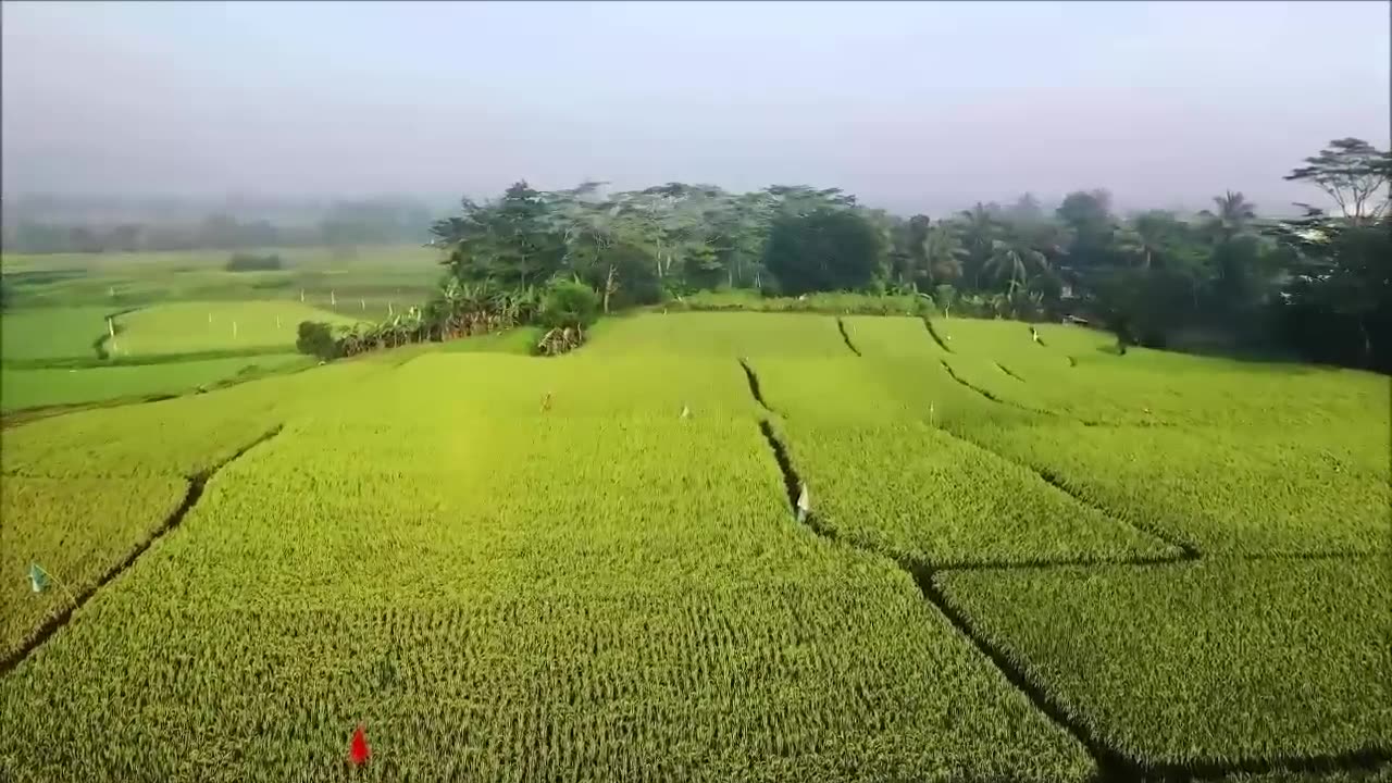 4k aerial nature relaxing - Natural Rain