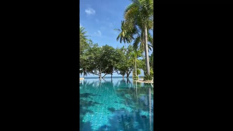 Luxury swmming pools videos