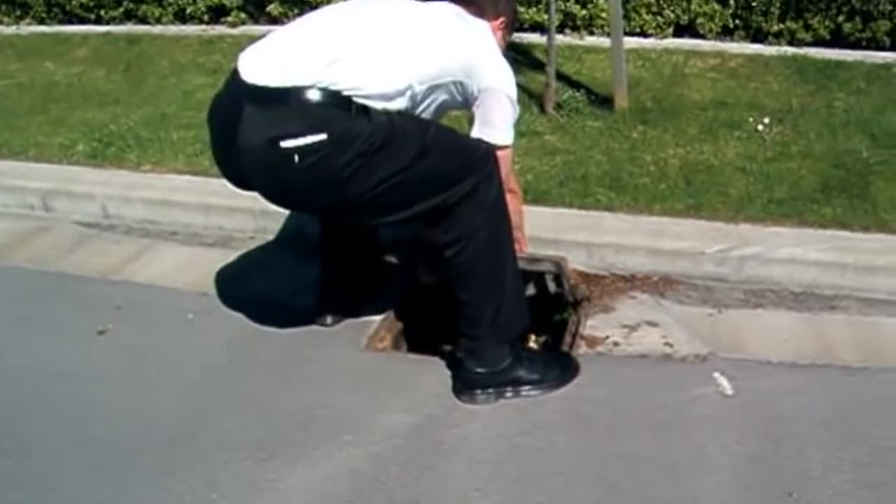 Missionaries helping ducklings