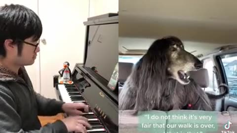 This is cute he is singing tho | Funny animal found on my fyp