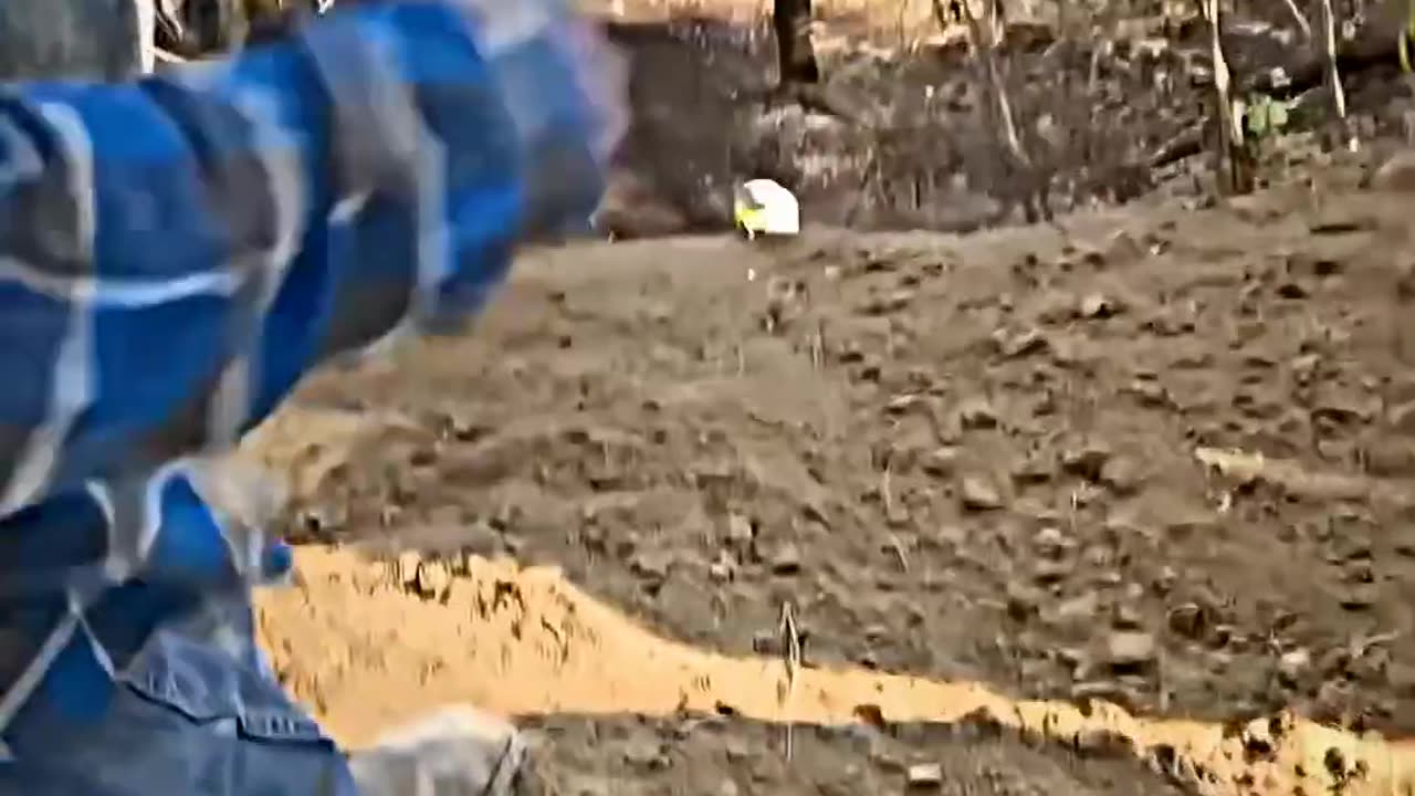 Endless Laughter: The Ultimate Funny Moments Compilation!