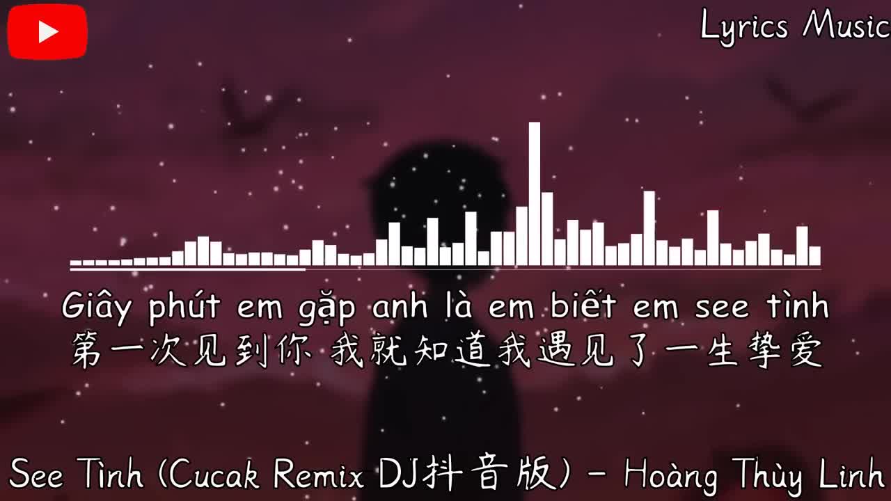 See Tình (Cucak Remix DJ抖音版) - Hoàng Thùy Linh『叮叮当当 Tình tình tình tang tang tính。』【動態歌詞】♪