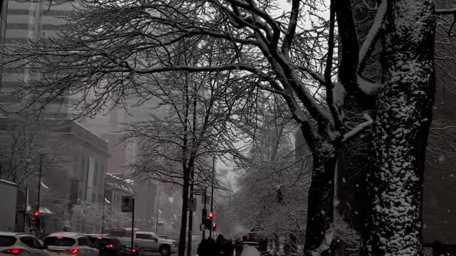 Beautiful Snow