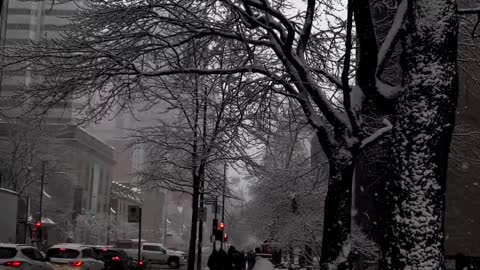 Beautiful Snow