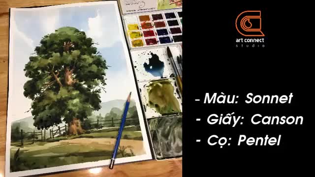 watercolor, watercolor drawing, drawing trees, landscape drawing