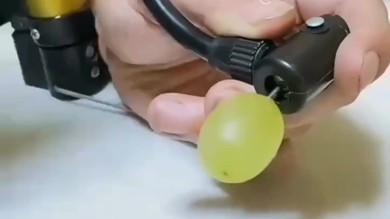 Entertainment