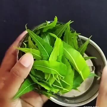 Neem Ke Patte Ke Fayde