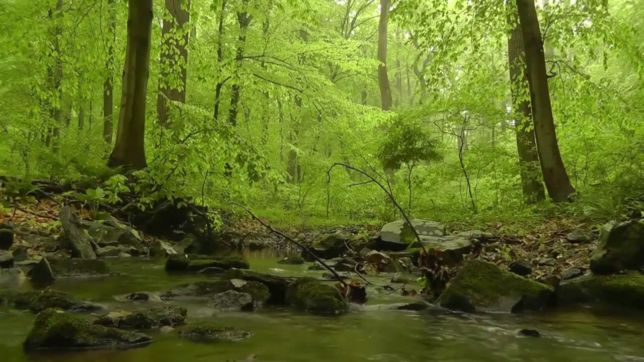 calm, relaxing music with the sounds of rain