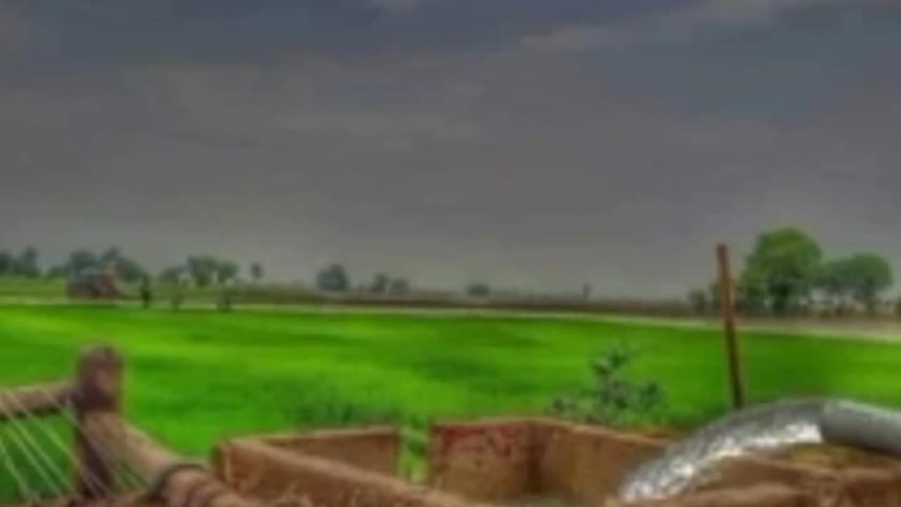 Framing video
