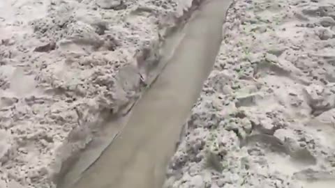 Florida Man Beach Trench Goes Spectacularly WROnG