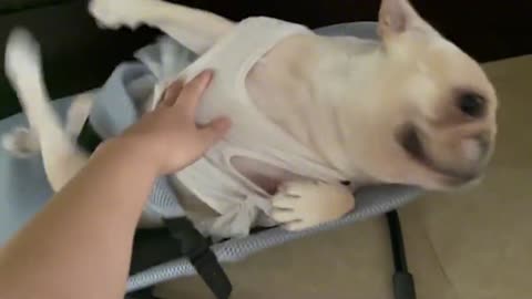 Cure collection of cute and evil laughter, watch and laugh again and again