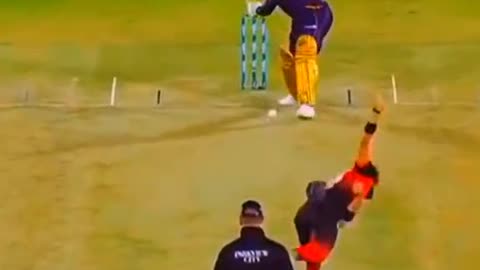 fans-video cricket lovers-video #cricket #cricketlover