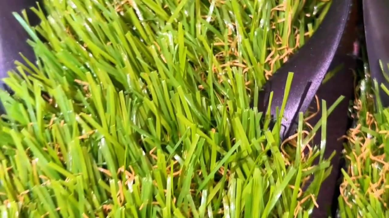 Walk on Cloud Nine: Grass Slippers for Ultimate Comfort!