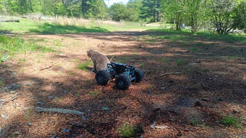 Me & my best bud Kitty Toe Testing out the Custom Tamiya Super Clodbuster build