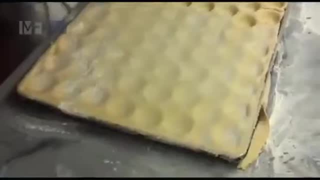 Satisfying Videos of Workers Doing Their Job Perfectly 3