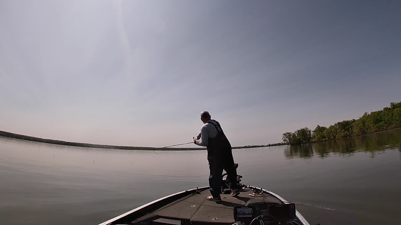 Mosquito 5/18/23 (Short)