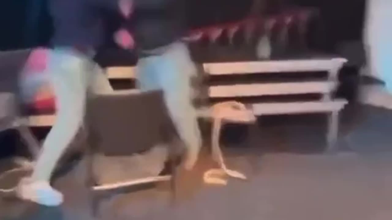 USA Student Punches teacher