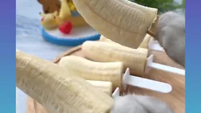 Cute and funny Cat 3