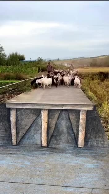 yMAIN STREAM MEDIA CAN DO THIS TO YOU!