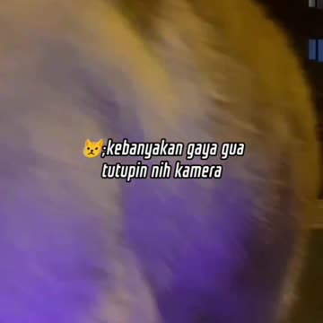 Orange Cat Walking Approaching the Camera