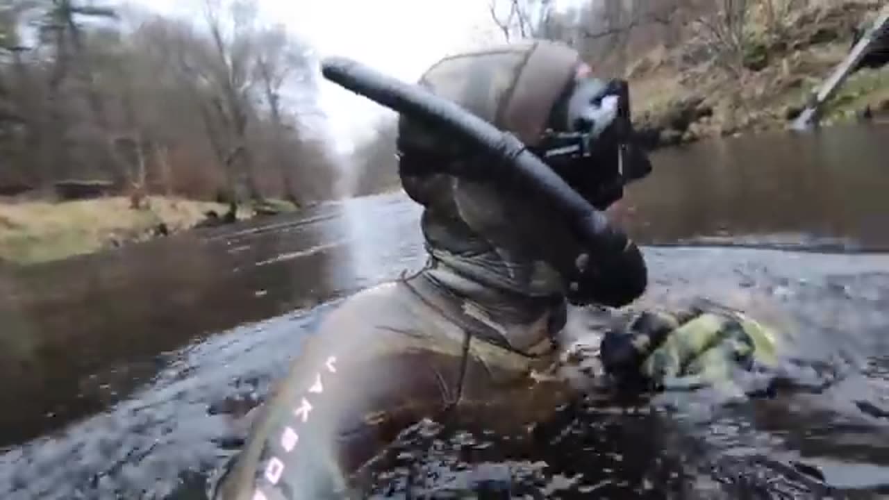 HAND DIVED Cray fish in The Woods Bushcraft Catch & Cook