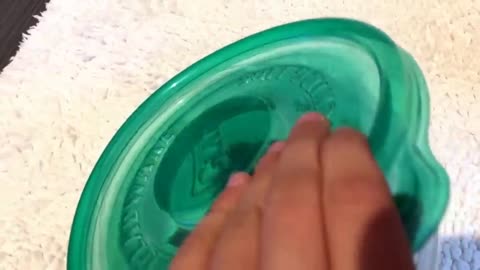 Baby Tortoise unboxing!