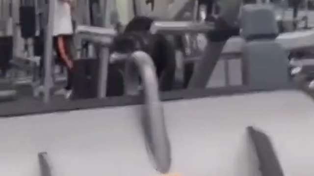 let's laugh not to cry 4