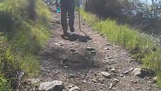 hiking video