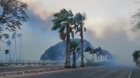 Lahaina fire behind our house - August 8th, 2023