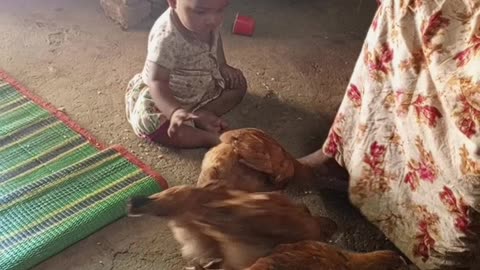 The baby playing with hen👻🐓🐓🐓