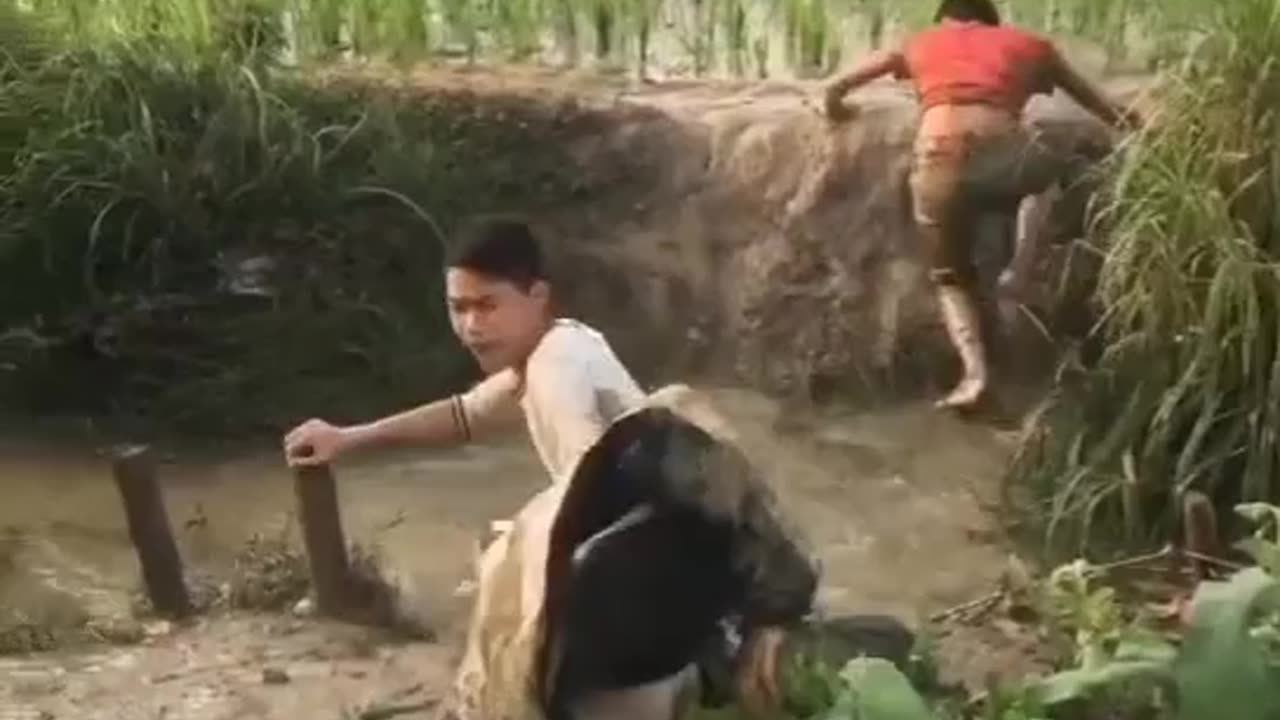 funny video with three boys 🤣🤣🤣