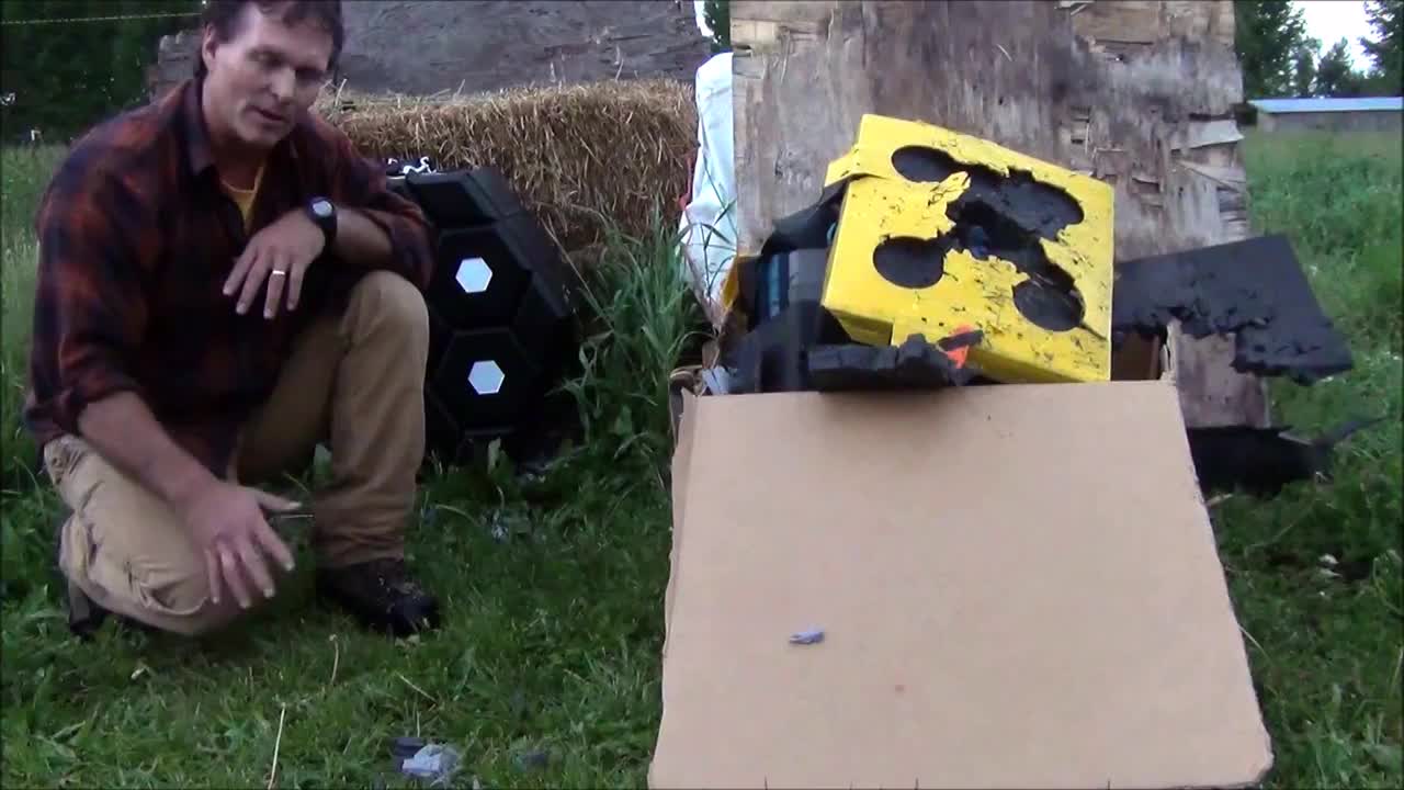 Matrix Archery Target Reveal