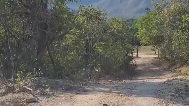 Em conexão com a natureza 🍀 Bom dia!