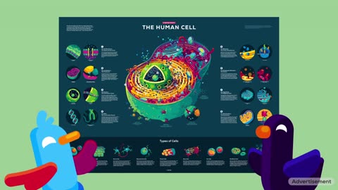 The (Second) Most Deadliest Virus on Earth