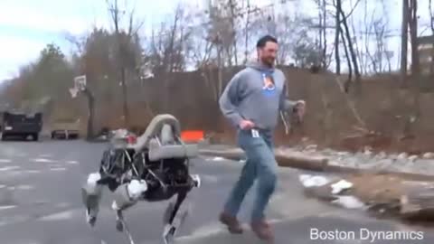 See robotic Spot run