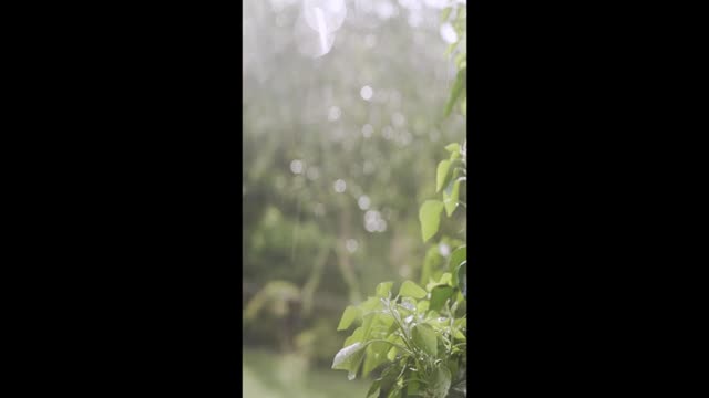 Raining, satisfaction, weather, nature.