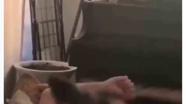 New week, new chaos:)