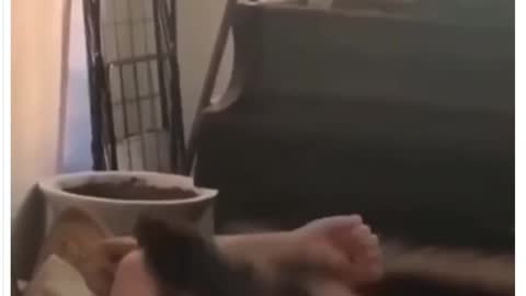 New week, new chaos:)