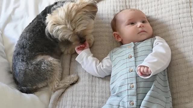 Watch funny animals and children