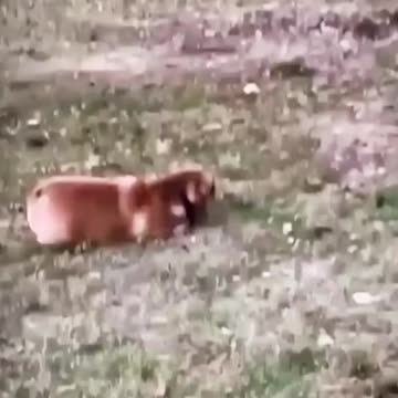 reason to smile because we already have to cry 7