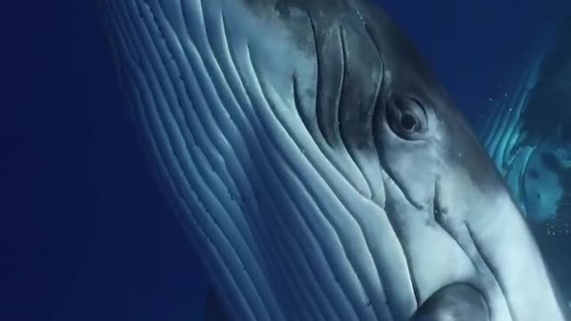 Just a quick pause for beauty