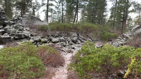 Traversing the Volcanic Area – Central Oregon – Edison Sno-Park – 4K