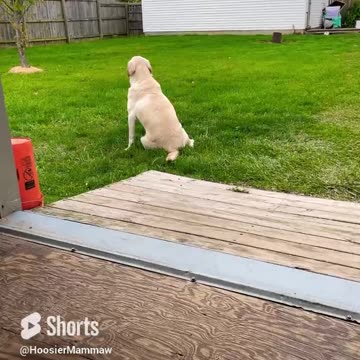 He Appreciates the American Flag!