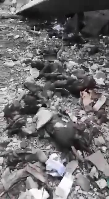 A Russian invader complains about losses as he shares footage