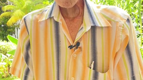 Cancer & Stroke: Jimmy Lee's DIY Papaya Leaf Cure (2 of 5)