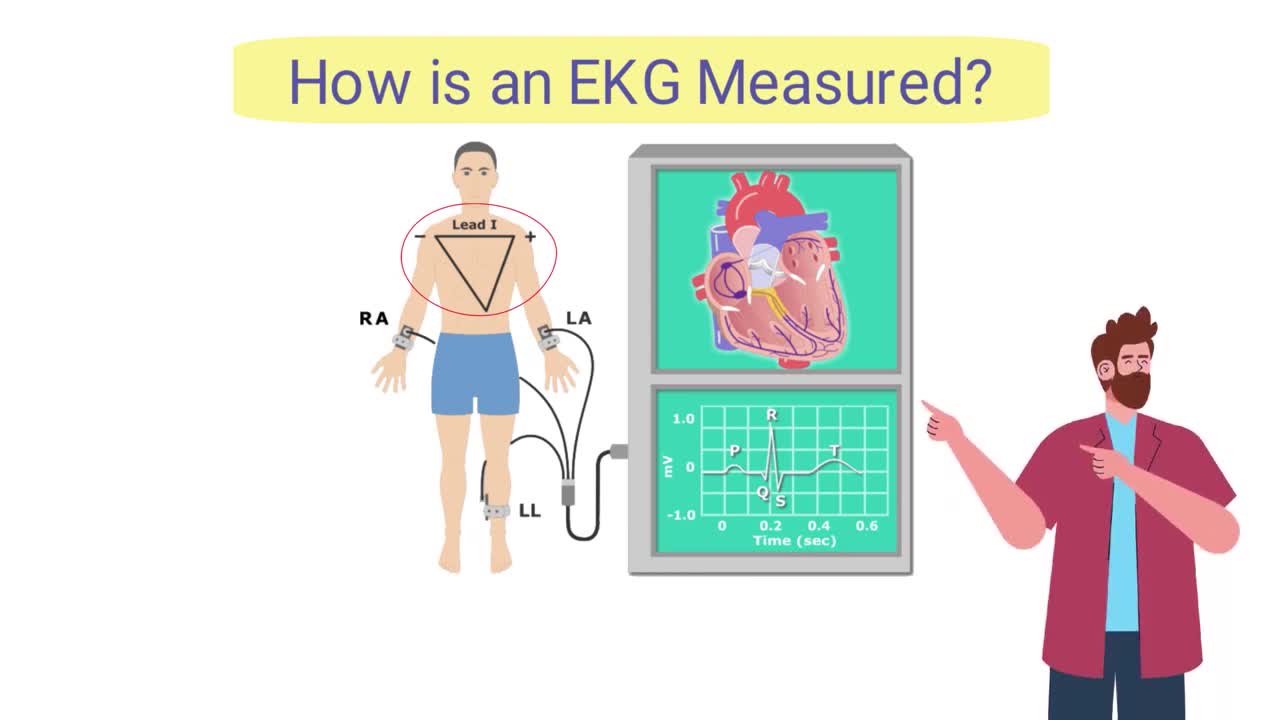 What is an Electrocardiogram? (EKG/ECG) *SIMPLE Explanation*