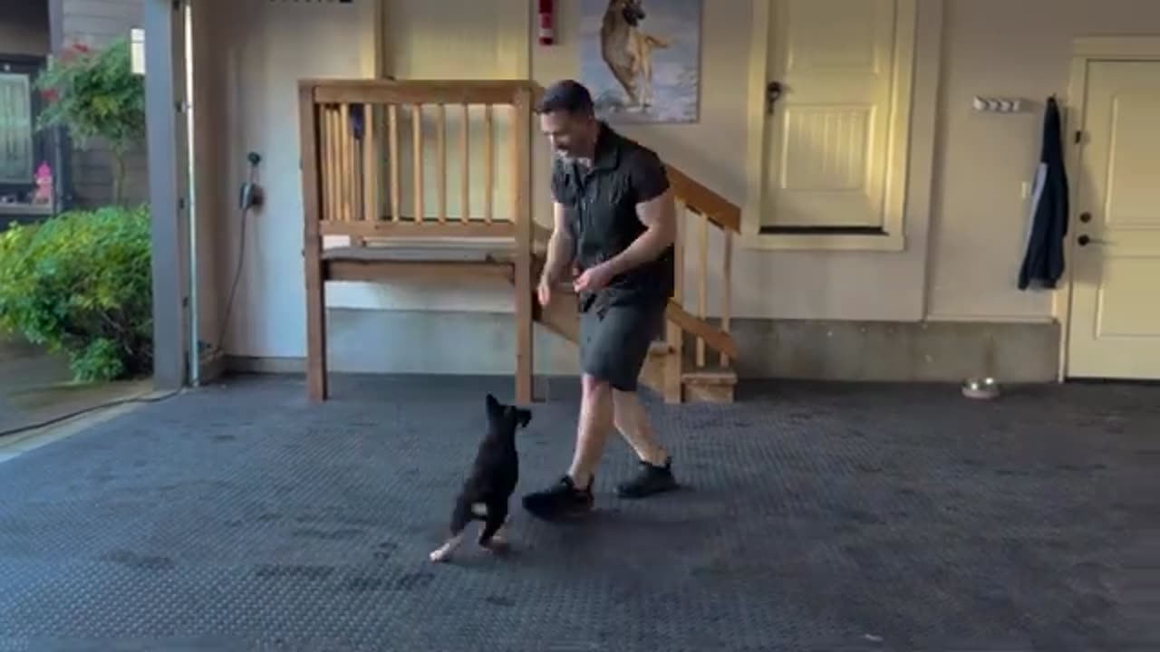 First Step to Training Your New Puppy!