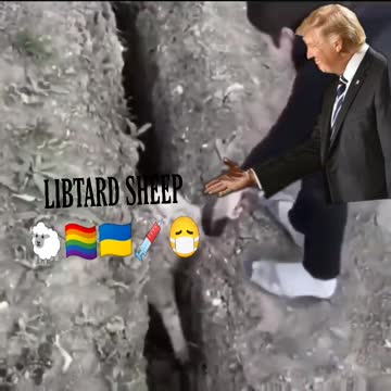 SHEEP WILL BE SHEEP 🐑😷💉🇺🇦🏳️‍🌈